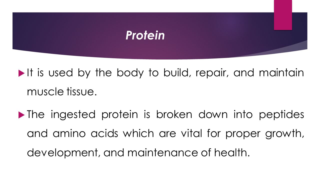Protein  It is used by the body to build, repair, and maintain muscle tissue.