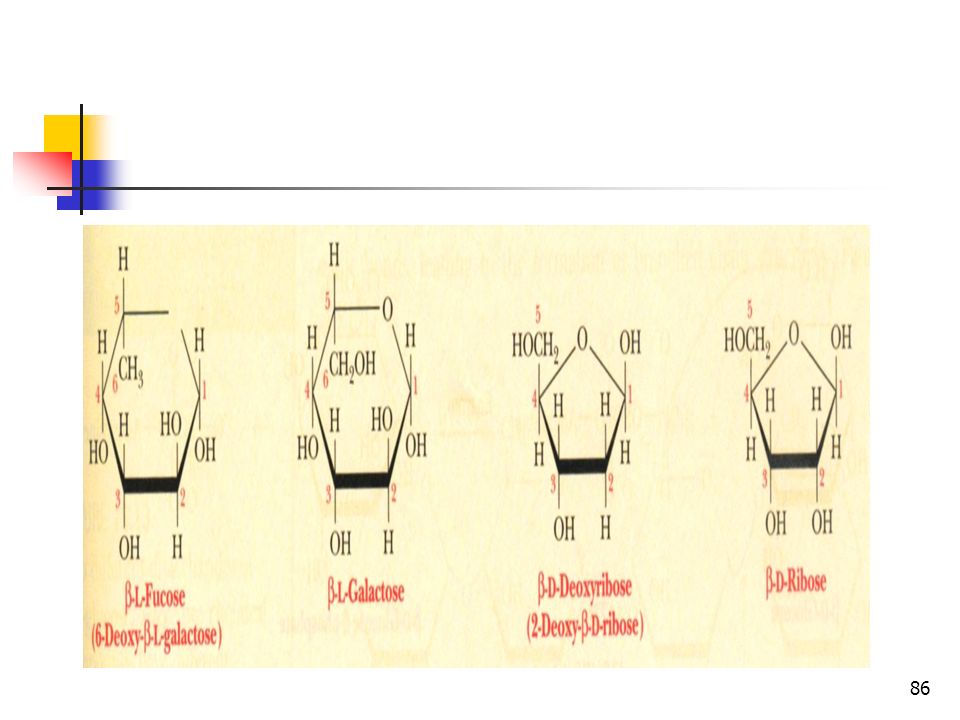 LETS LEARN The ... name glucose comes from GREEK!!!! SOME the