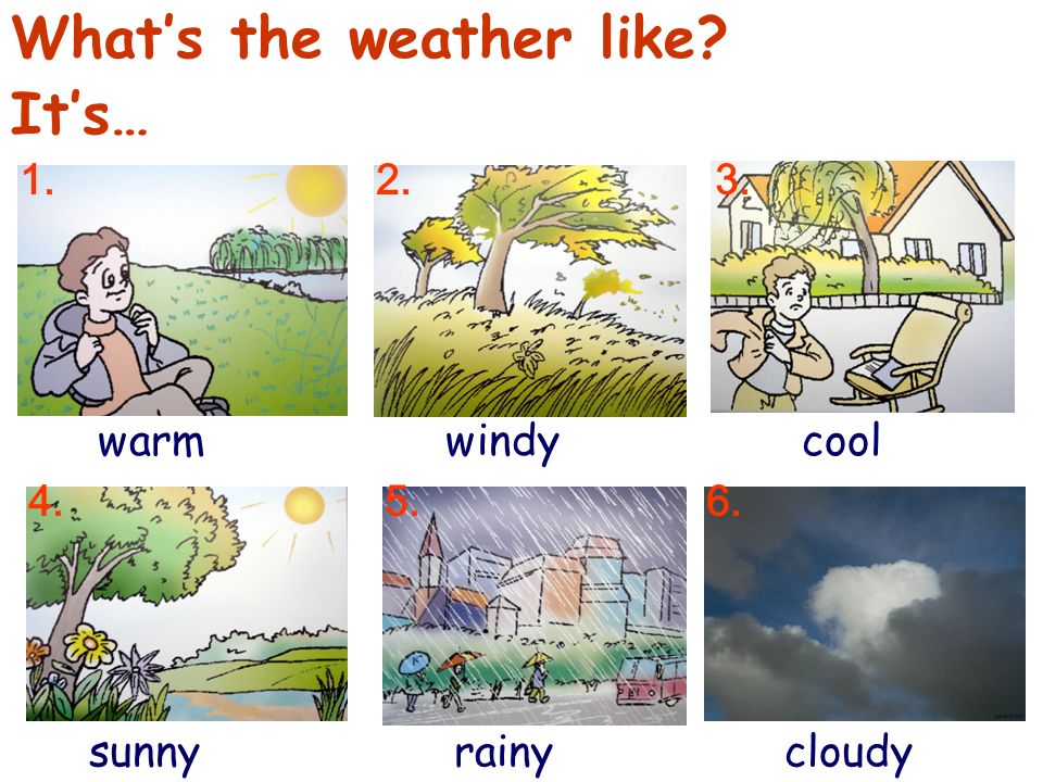Unit Five The seasons What's the weather like? It's… warmwindycool  sunnyrainycloudy ppt download