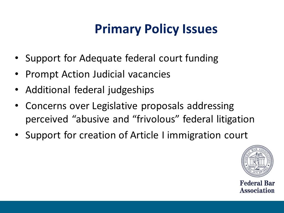 Primary Policy Issues Support for Adequate federal court funding Prompt Action Judicial vacancies Additional federal judgeships Concerns over Legislative proposals addressing perceived abusive and frivolous federal litigation Support for creation of Article I immigration court
