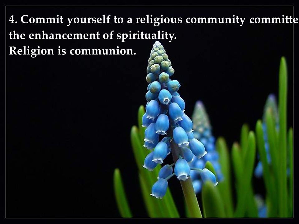 4. Commit yourself to a religious community committed to the enhancement of spirituality.