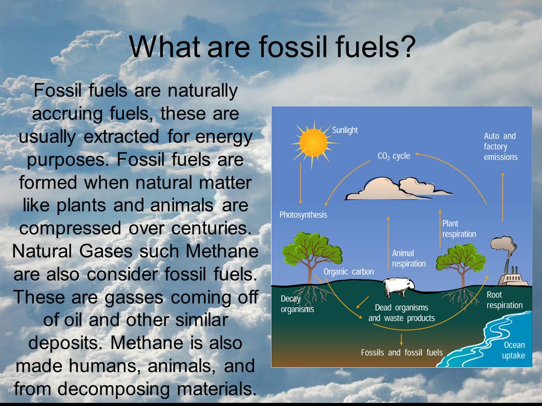 What are fossil fuels? Fossil fuels are naturally accruing fuels, these are  usually extracted for energy purposes. Fossil fuels are formed when  natural. - ppt download