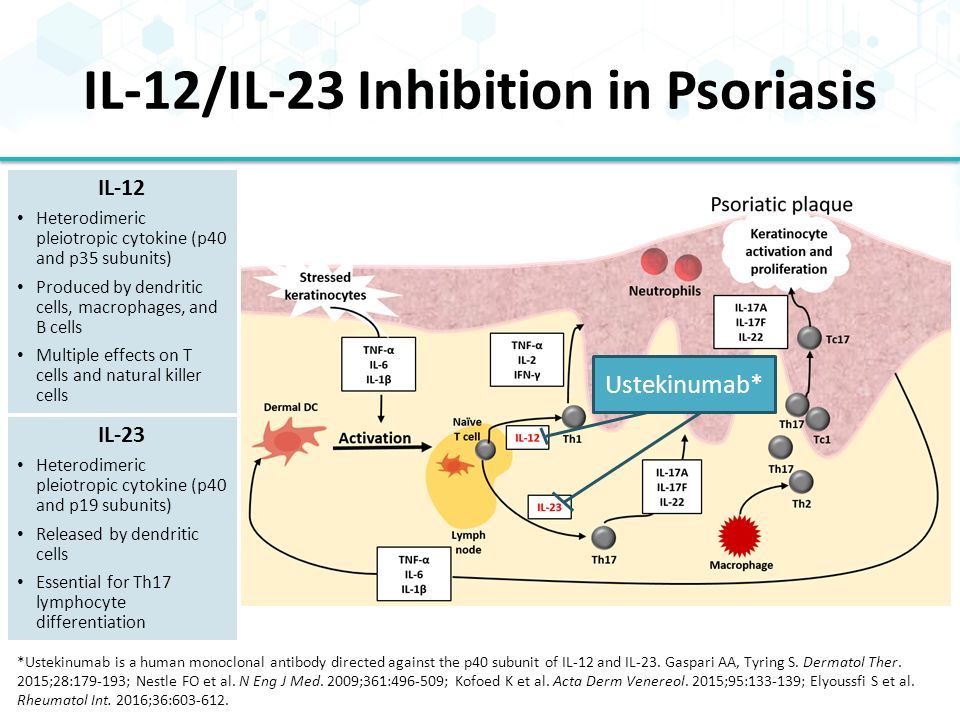 Applying Science To Improve The Individualized Treatment Of Patients With Psoriasis Abrar Qureshi Md Mph Chief Of The Department Of Dermatology Rhode Ppt Download