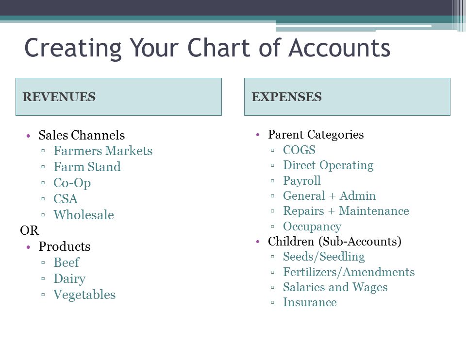 Farm Chart Of Accounts