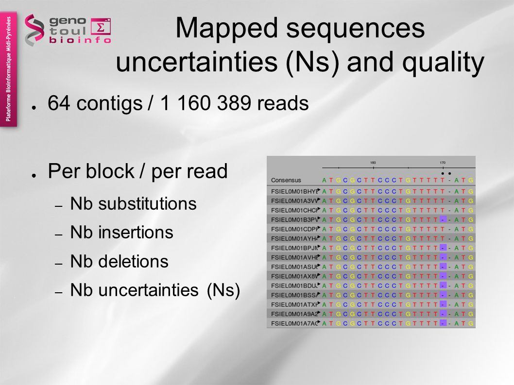 Mapped sequences uncertainties (Ns) and quality ● 64 contigs / reads ● Per block / per read – Nb substitutions – Nb insertions – Nb deletions – Nb uncertainties (Ns)