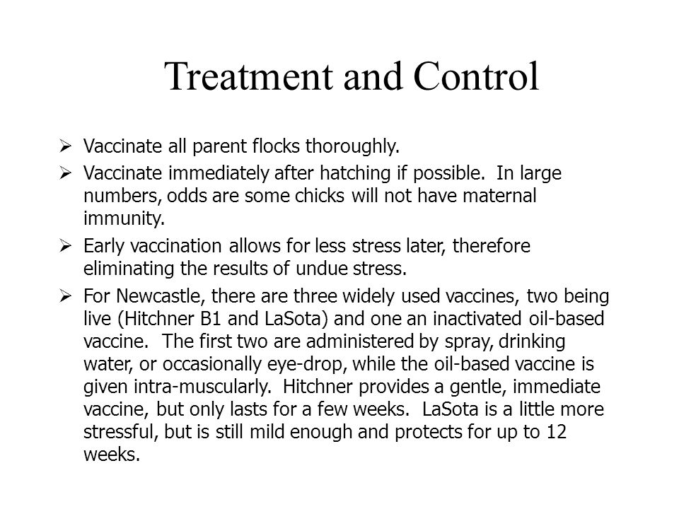  Vaccinate all parent flocks thoroughly.  Vaccinate immediately after hatching if possible.