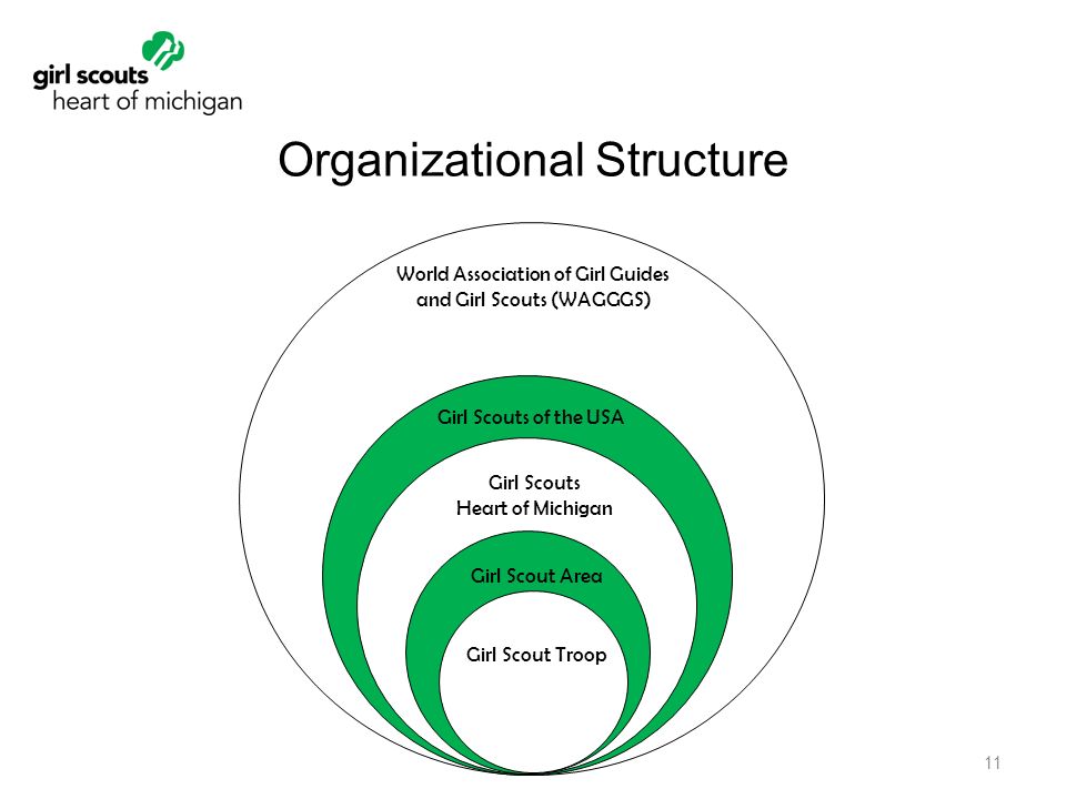 Girl Scout Organization Chart