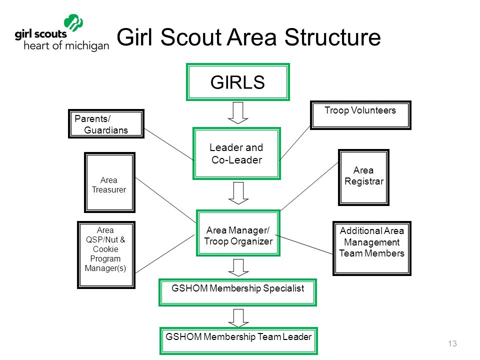 Girl Scout Organization Chart