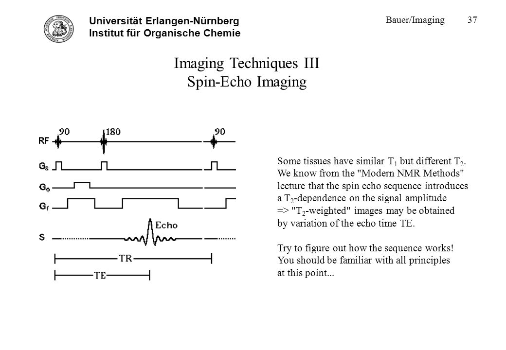 Bauer/Imaging1 Universität Erlangen-Nürnberg Institut für Organische Chemie  Magnetic Resonance Imaging MRI Walter Bauer Titel. - ppt download