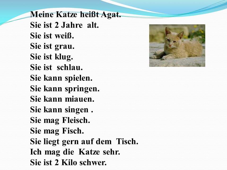 Alt er ist. Стихи на немецком meine Katze. Немецкие детские стихи на немецком. Стихи на немецком языке для детей. Стихотворение Katze.