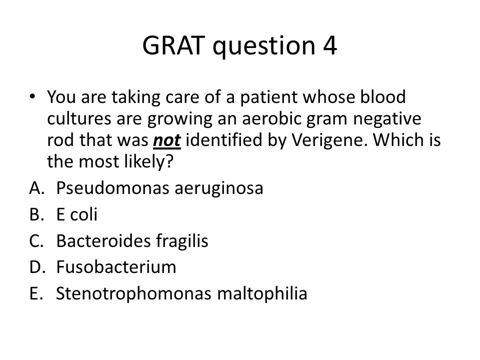 GRAT question 4 You are taking care of a patient whose blood cultures are growing an aerobic gram negative rod that was not identified by Verigene.