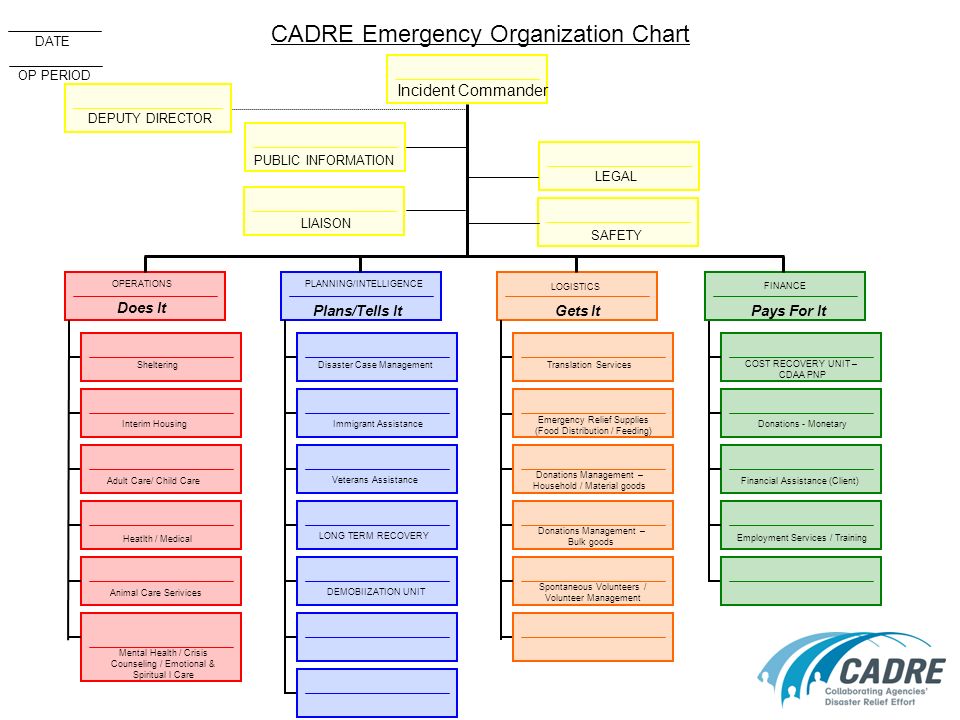 Eoc Organization Chart