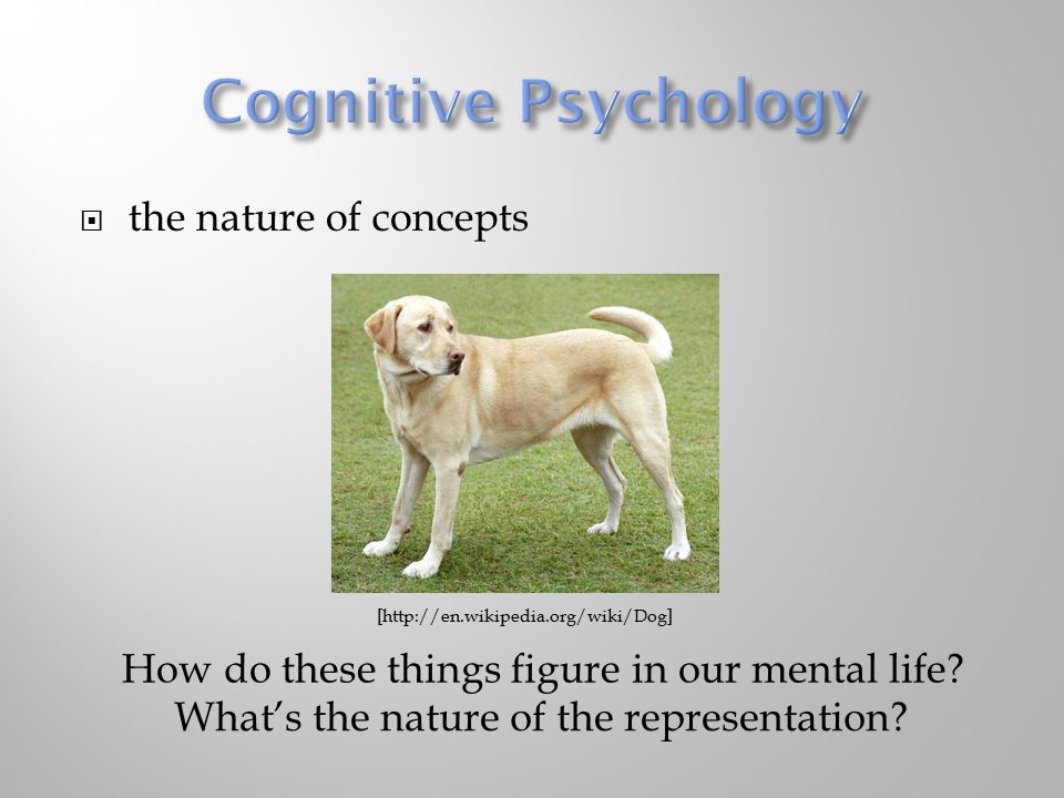  the nature of concepts How do these things figure in our mental life.