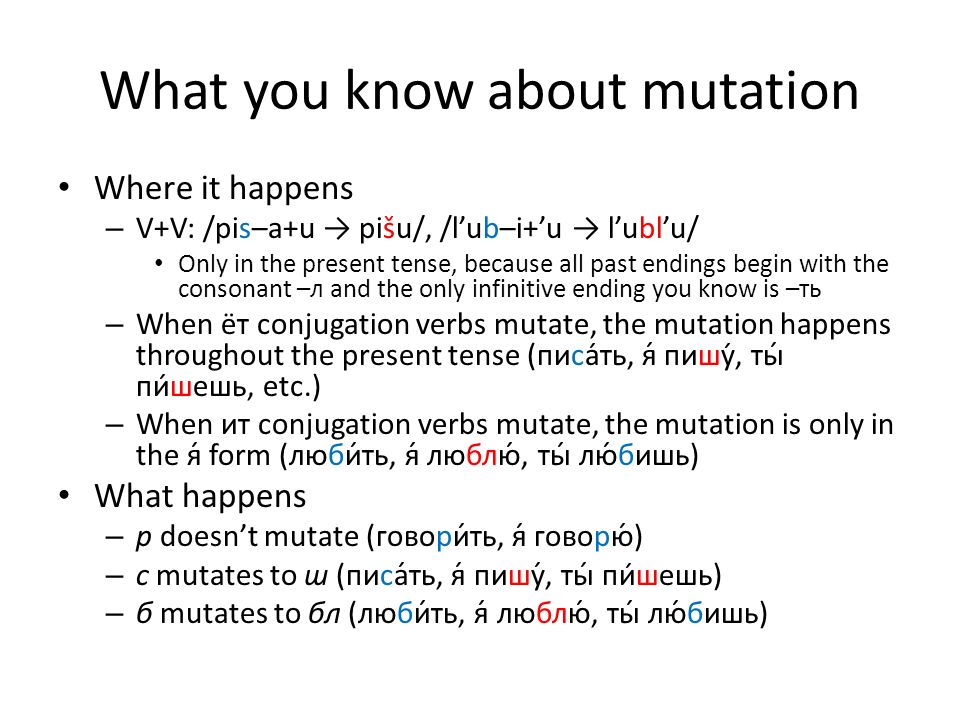 Аккузатив Кум инфинитив латынь. Conjugation of verbs with the -ся Postfix.