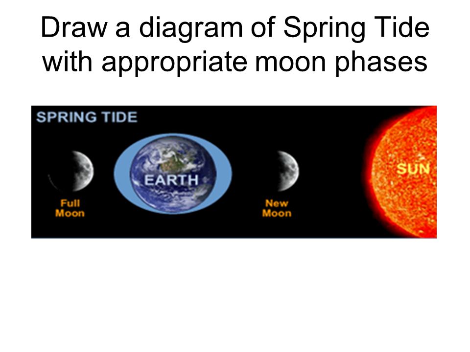 Draw a diagram of Spring Tide with appropriate moon phases