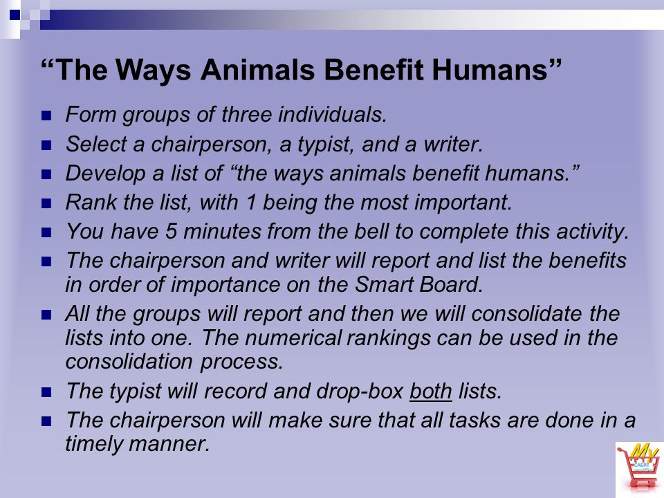 The Animal Science Industry Animal Agriculture. “The Ways Animals Benefit  Humans” Form groups of three individuals. Select a chairperson, a typist,  and. - ppt download