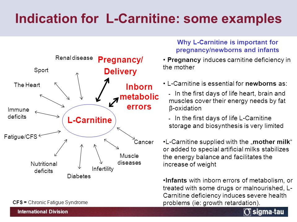 Brain Carnitine Deficiency Causes >> International Division St International Division L Carnitine And Brain Carnitine Deficiency Causes >> International Division St International Division L Carnitine And