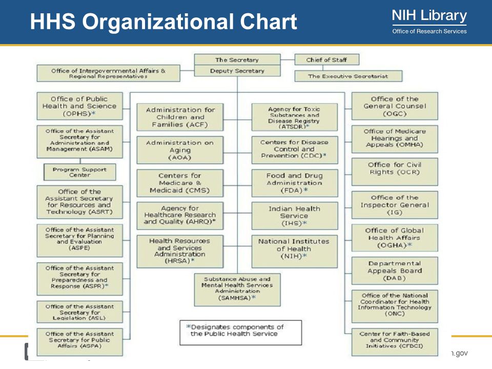 Hhs Organizational Chart