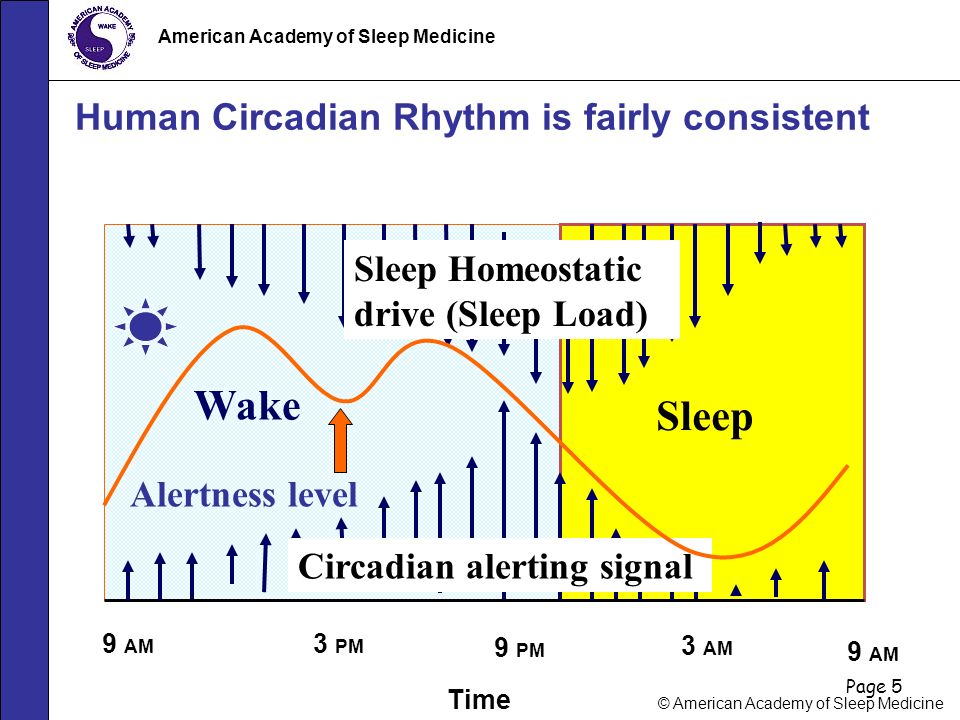 Page 1 © American Academy of Sleep Medicine American Academy of Sleep ...