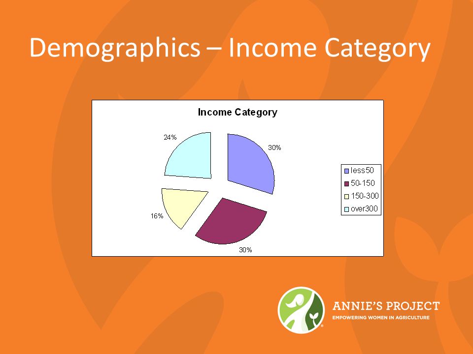 Demographics – Income Category