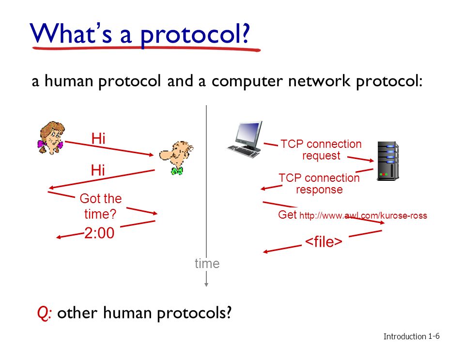 Protocol host