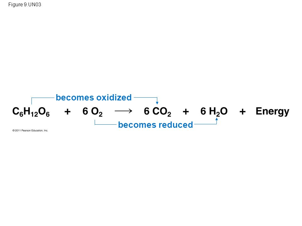 Figure 9.UN03 becomes oxidized becomes reduced