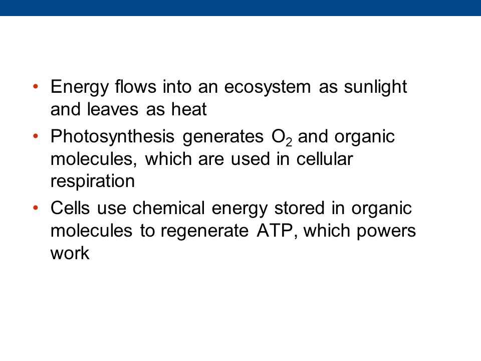 Energy flows into an ecosystem as sunlight and leaves as heat Photosynthesis generates O 2 and organic molecules, which are used in cellular respiration Cells use chemical energy stored in organic molecules to regenerate ATP, which powers work