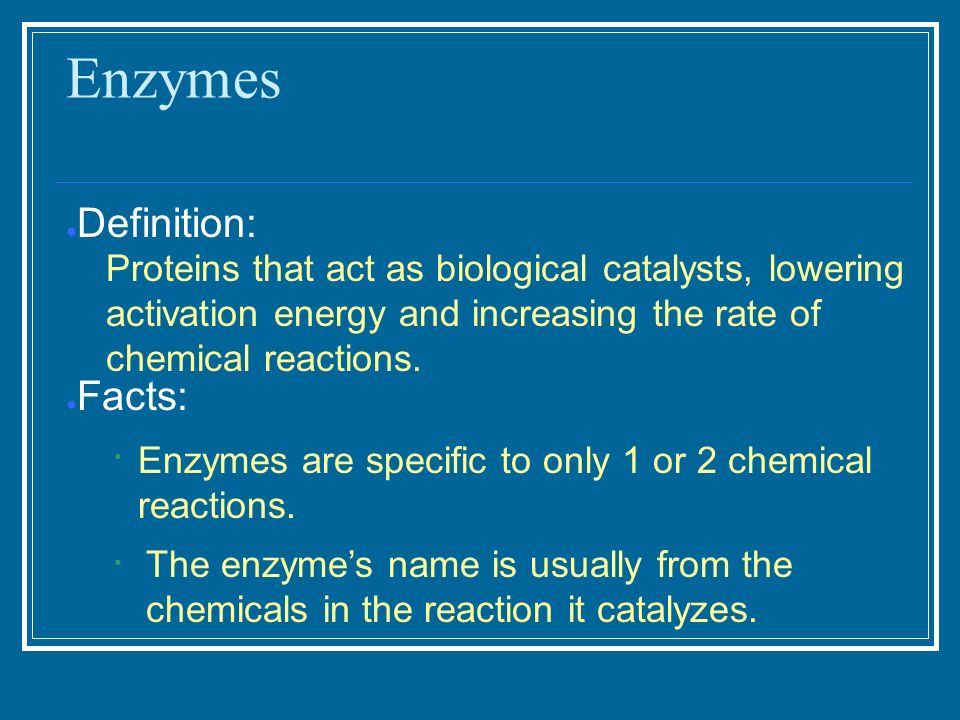 Enzymes ● Definition: ● Facts: ● Proteins that act as biological catalysts, lowering activation energy and increasing the rate of chemical reactions.