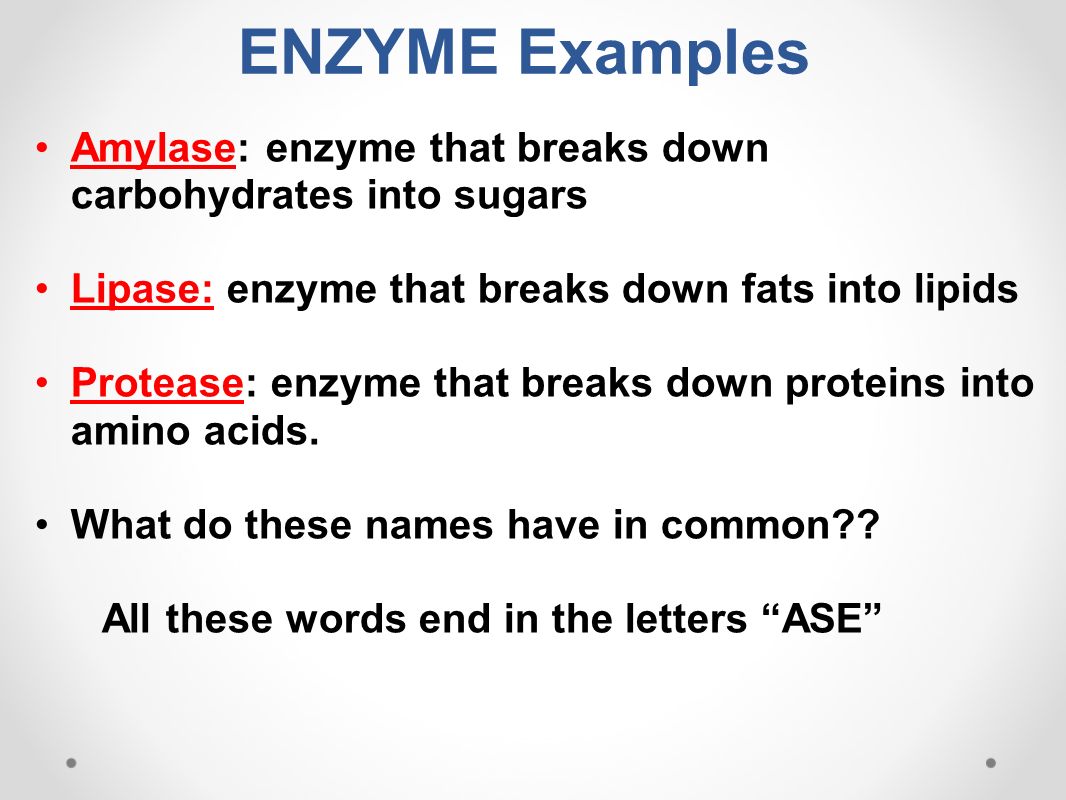 enzyme structure enzymes are proteins, which are chains of amino