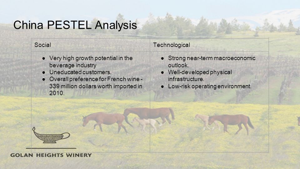 french wine industry analysis