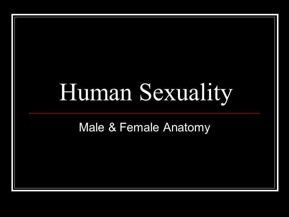 Human Sexuality Male & Female Anatomy