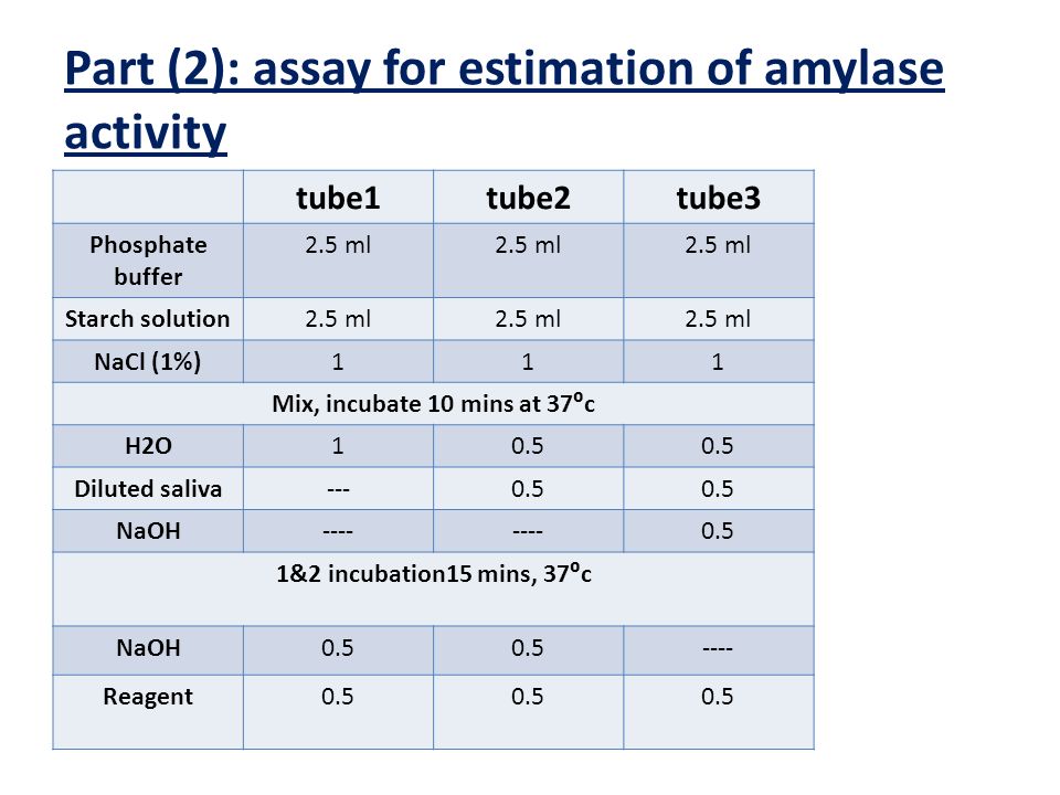 Exp 2 Quantitative Determination Of Amylase Activity Introduction The Purpose Of This Experiment Is To Study The Enzyme Amylase Which Is Found In Saliva Ppt Download