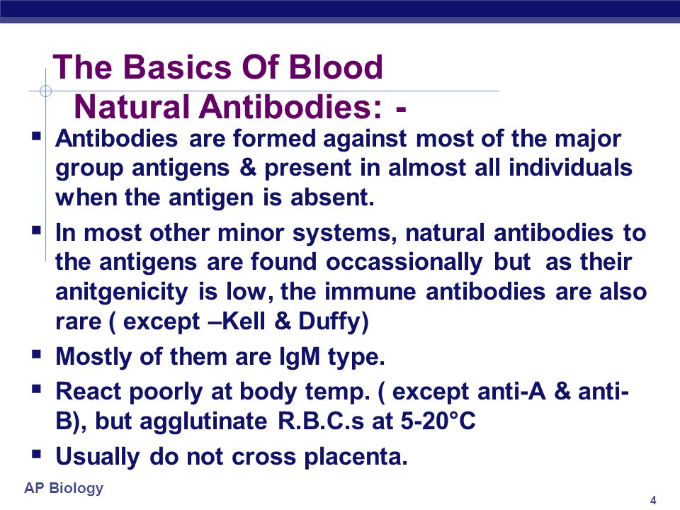 AP Biology 3 The Basics Of Blood Alloantibodies / Agglutinins Natural IgM Iso / immune antobodies IgG Formed in response to foreign R.B.C.