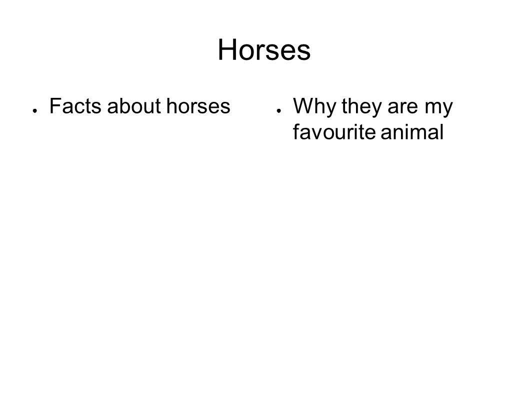Horses ● Facts about horses ● Why they are my favourite animal