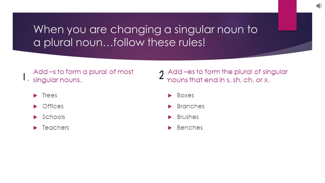 Singular and Plural Nouns A singular noun names one place, thing or ideas. PLANET BRUSH BRANCH MIX EXPERIENCE. - ppt download
