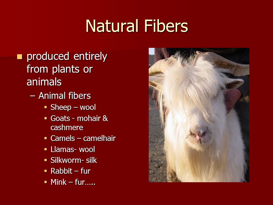 Notes  Chapter 13: Fibers Types, Fiber Identification, and Analysis. -  ppt download