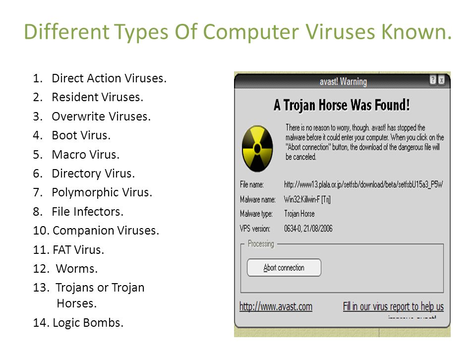Types of viruses. Types of Computer viruses. What is a Computer virus. Direct Action virus.