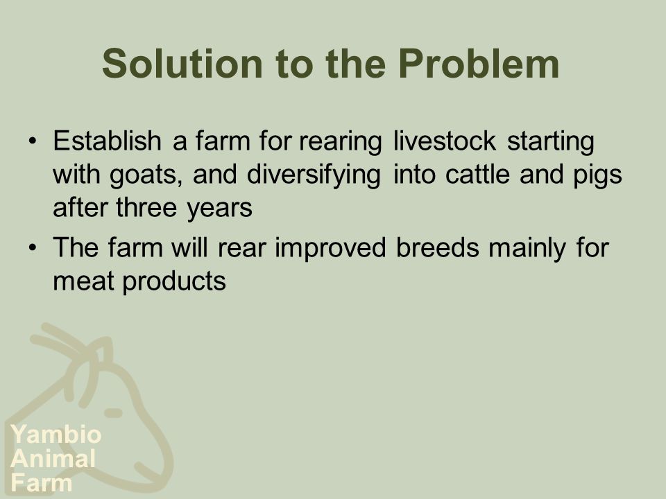 Yambio Animal Farm Solution to the Problem Establish a farm for rearing livestock starting with goats, and diversifying into cattle and pigs after three years The farm will rear improved breeds mainly for meat products