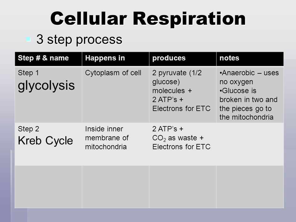 Cellular Respiration  3 step process Step # & nameHappens inproducesnotes Step 1 glycolysis Cytoplasm of cell2 pyruvate (1/2 glucose) molecules + 2 ATP’s + Electrons for ETC Anaerobic – uses no oxygen Glucose is broken in two and the pieces go to the mitochondria Step 2 Kreb Cycle Inside inner membrane of mitochondria 2 ATP’s + CO 2 as waste + Electrons for ETC