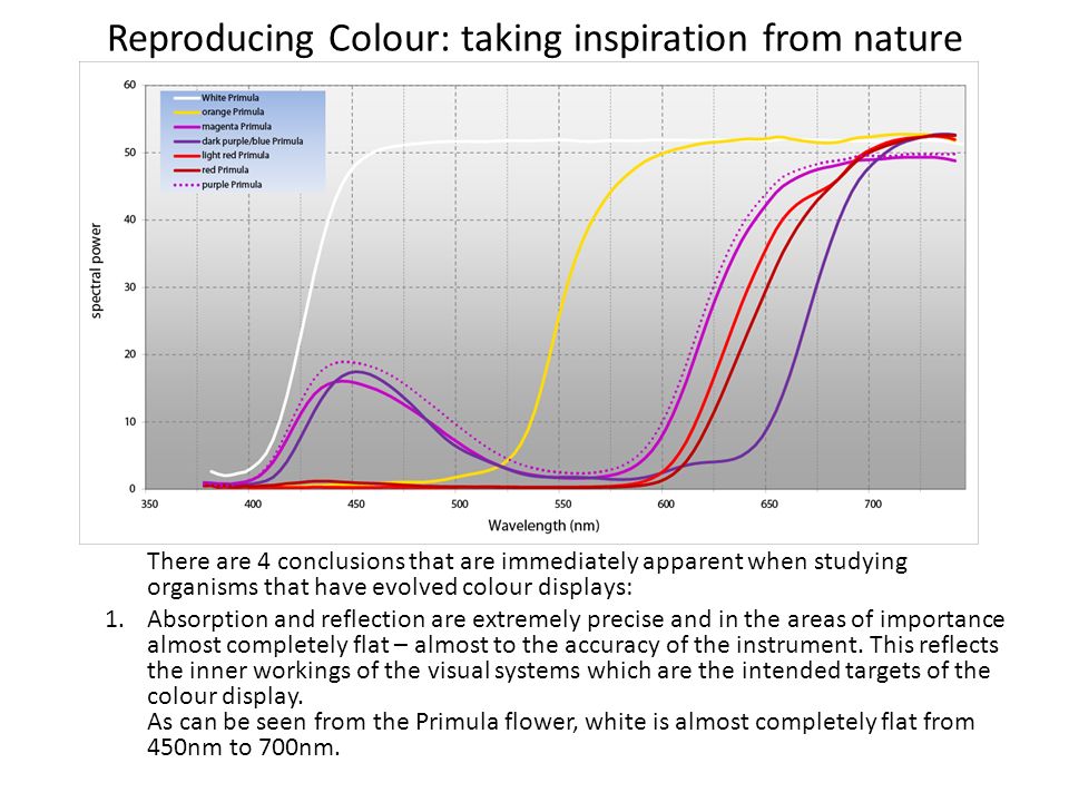 Reproducing Colour: taking inspiration from nature There are 4 conclusions that are immediately apparent when studying organisms that have evolved colour displays: 1.Absorption and reflection are extremely precise and in the areas of importance almost completely flat – almost to the accuracy of the instrument.