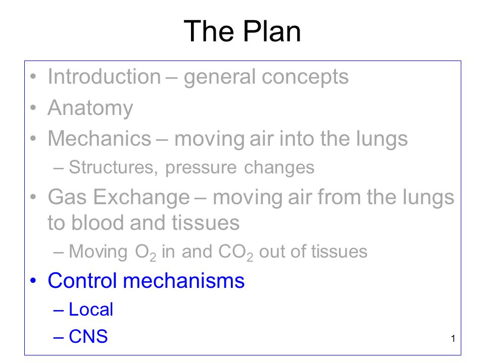 The Plan Introduction – general concepts Anatomy Mechanics – moving air into the lungs –Structures, pressure changes Gas Exchange – moving air from the lungs to blood and tissues –Moving O 2 in and CO 2 out of tissues Control mechanisms –Local –CNS 1