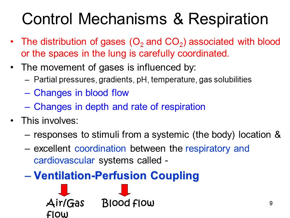 9 Control Mechanisms & Respiration The distribution of gases (O 2 and CO 2 ) associated with blood or the spaces in the lung is carefully coordinated.