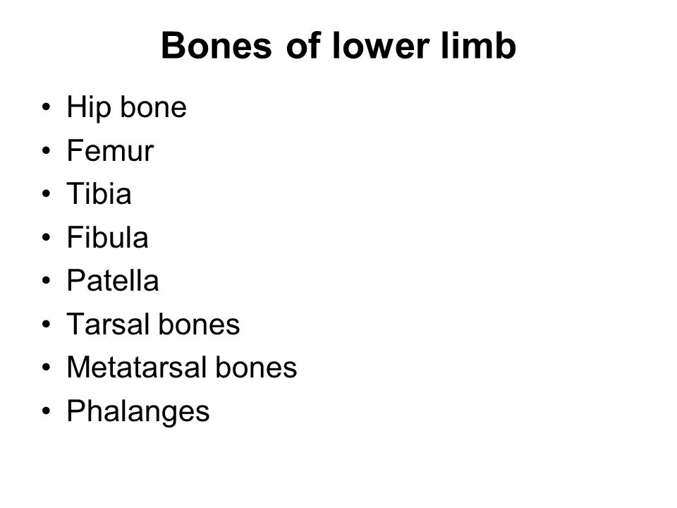 Bones of lower limb By DR N SATYANARAYANA.. Bones of lower limb Hip ...