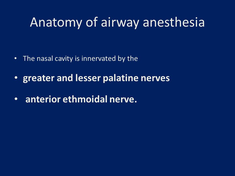 Anatomy of airway anesthesia The nasal cavity is innervated by the greater and lesser palatine nerves anterior ethmoidal nerve.