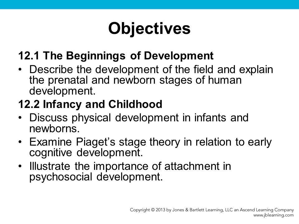 life span stages of human development