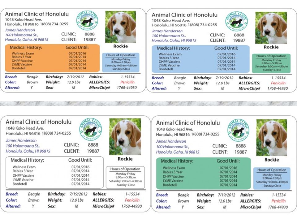 How to Customize your Pet Health ID Card?. What Is Pet Health ID Cards Pet  Health ID Cards are extremely helpful and ensure that you have the  important. - ppt download