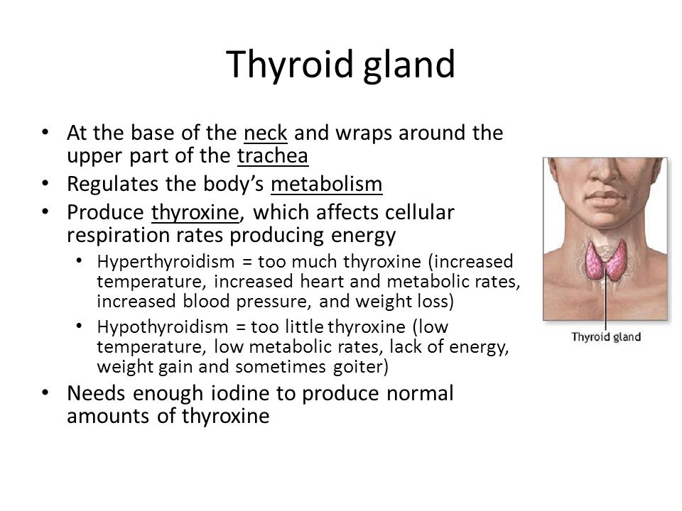 The Endocrine System. Do Now How would you want to communicate with a ...