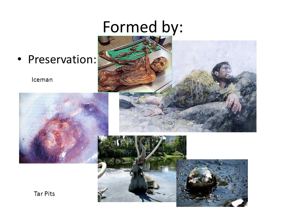 Formed by: Preservation: Iceman Tar Pits
