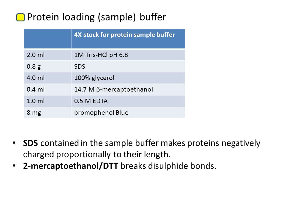 Protein overexpression and induction in E. coli Determination of the  protein b/w in the pellet and soluble state Protein purification using  Ni-chelated. - ppt download