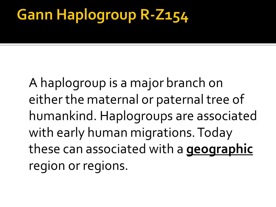 A haplogroup is a major branch on either the maternal or paternal tree of humankind.